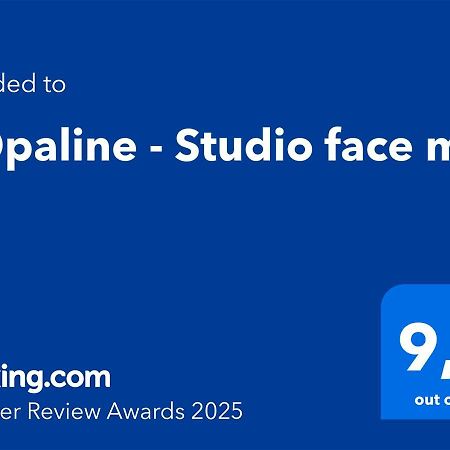 L'Opaline - Studio Face Mer 维姆勒 外观 照片
